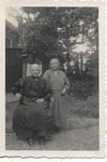 Click to see big picture (296x450 pixels; 21 KB)